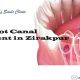 best root canal treatment in Zirakpur