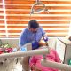 Which is the Best Dental Clinic in Zirakpur Near VIP Road?